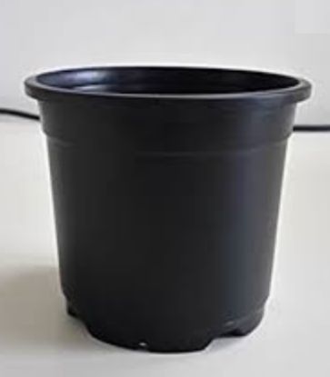 Picture of Plastic pots (sizes inside)
