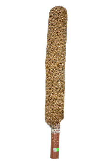Picture of Coir stick (3 feet)